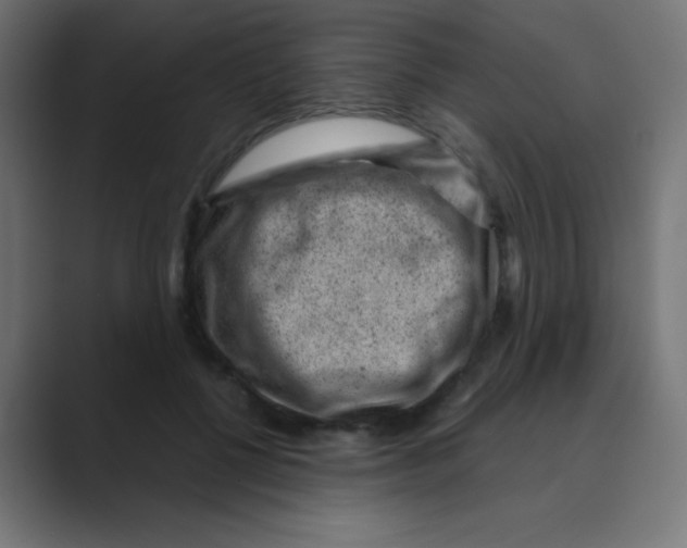 X0000088440552200706191254