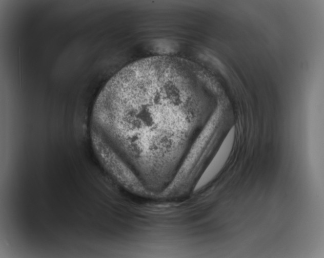 X0000088440553200706191254