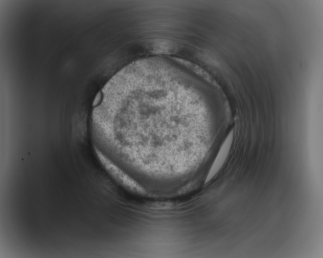 X0000088440554200706191254