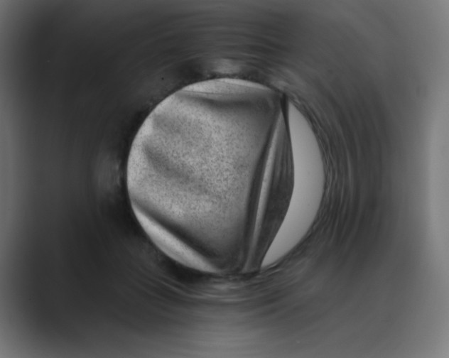 X0000088440555200706191254