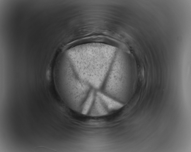 X0000088440556200706191254