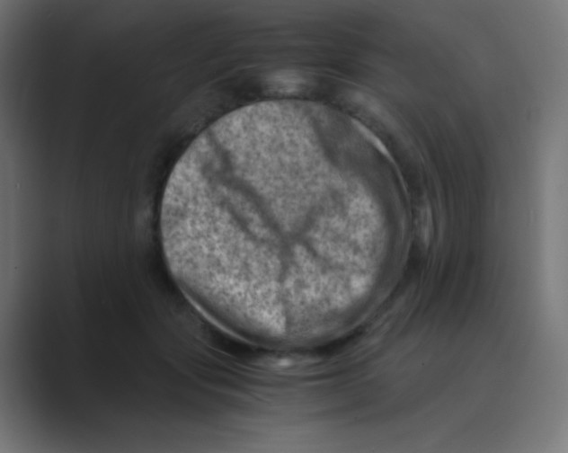 X0000088440557200706191254