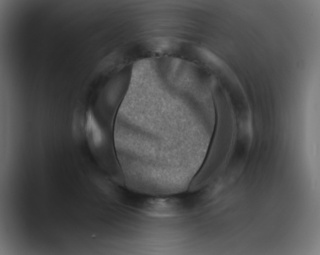 X0000088440558200706191254