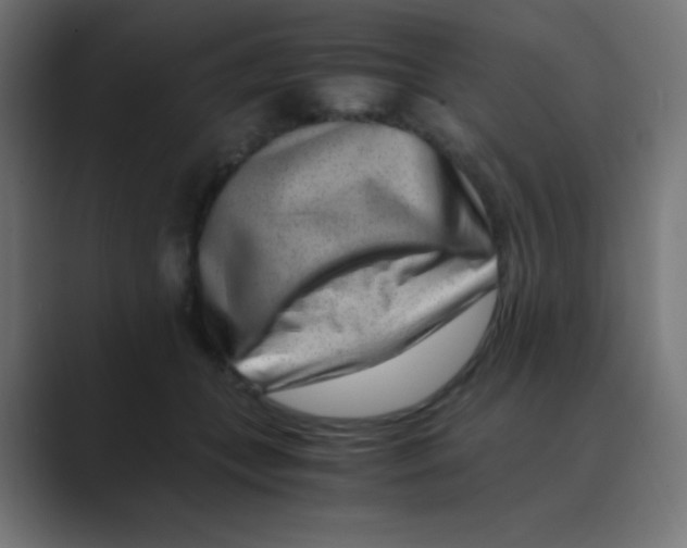 X0000088440559200706191254