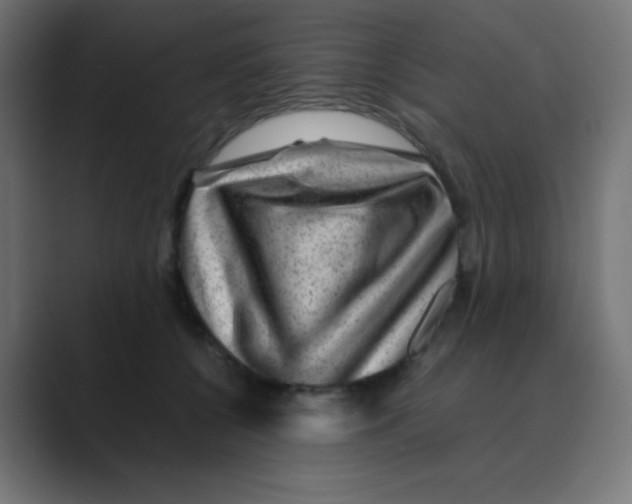 X0000088440560200706191254