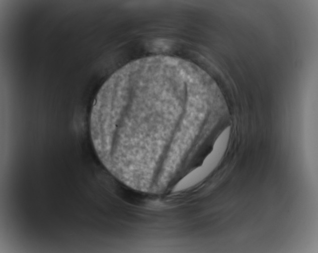 X0000088440561200706191254