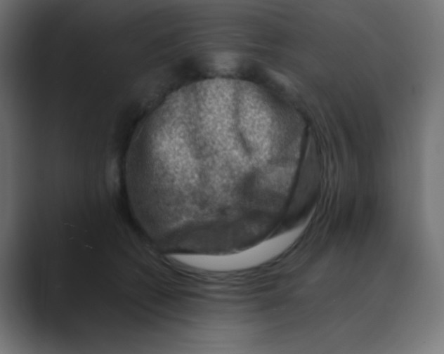 X0000088440562200706191254