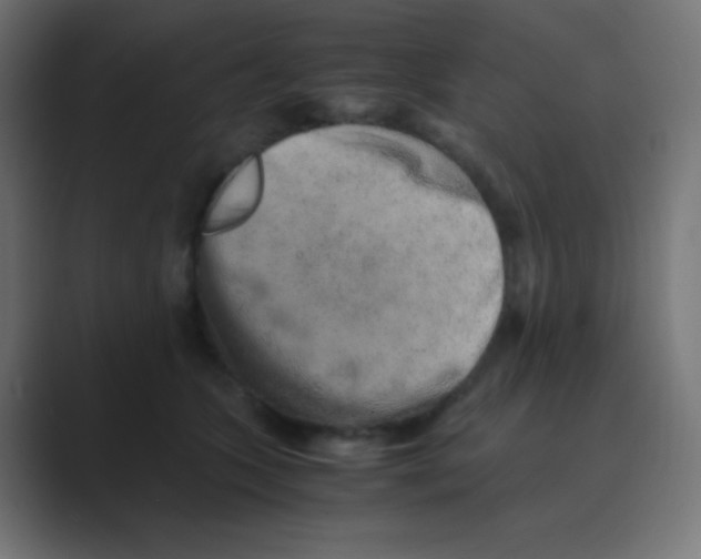 X0000088440563200706191254