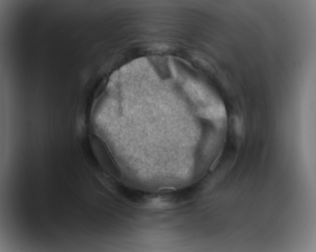 X0000088440564200706191254