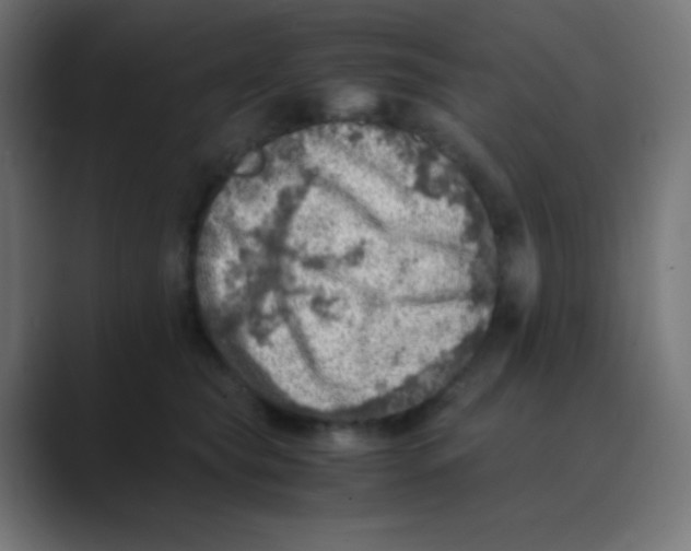 X0000088440565200706191254