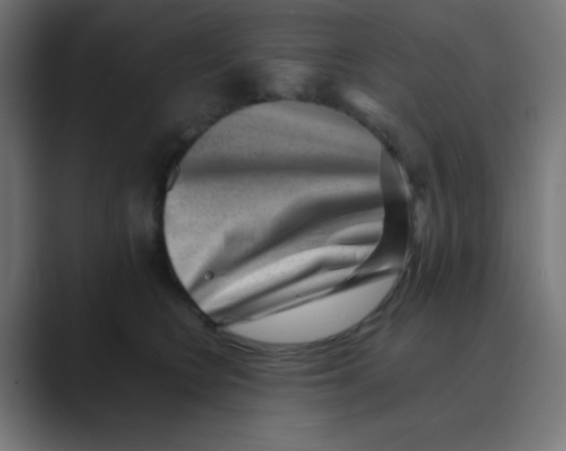 X0000088440566200706191254