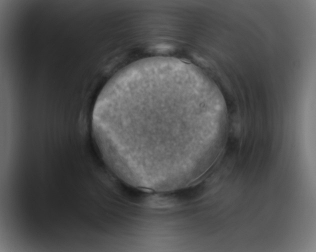 X0000088440568200706191254