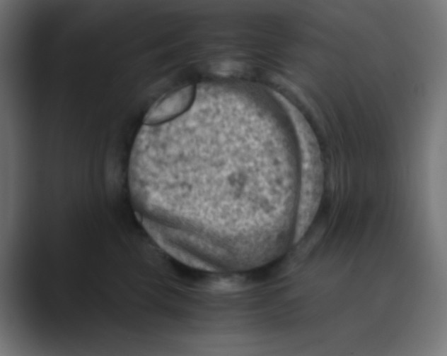 X0000088440569200706191255