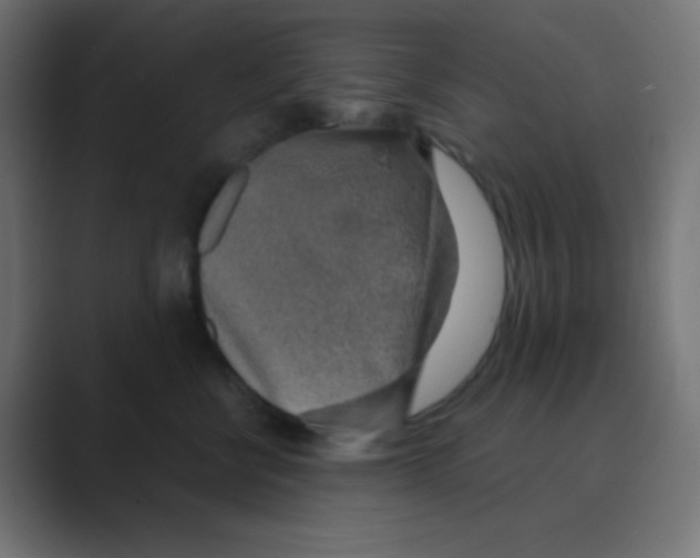 X0000088440570200706191255