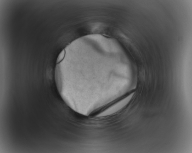 X0000088440571200706191255