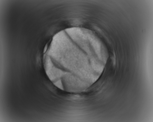 X0000088440572200706191255