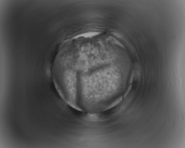 X0000088440573200706191255