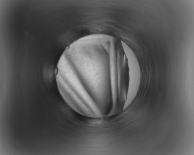 X0000088440574200706191255