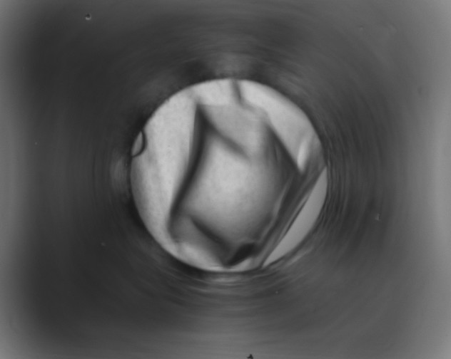 X0000088440575200706191255