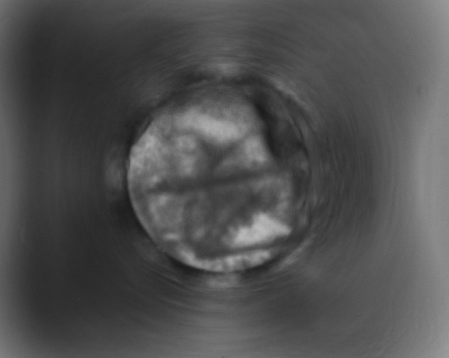 X0000088440576200706191255