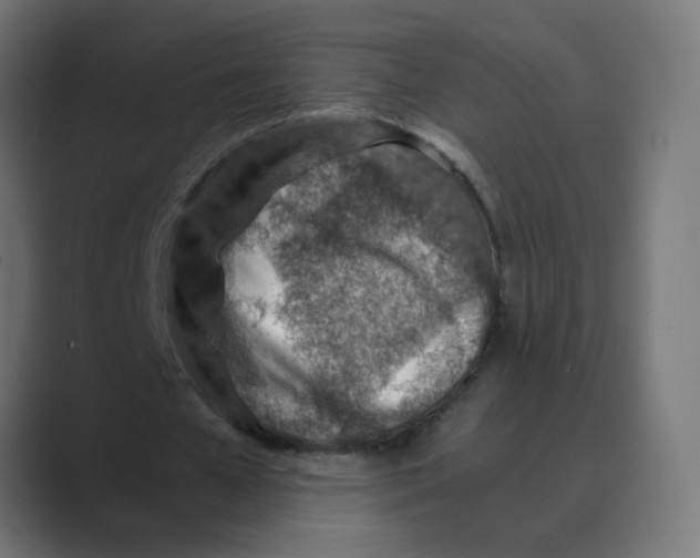 X0000088440577200706191254