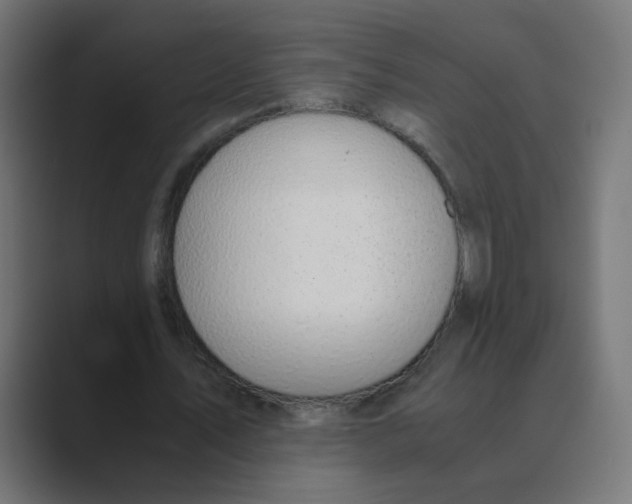 X0000088440579200706191254