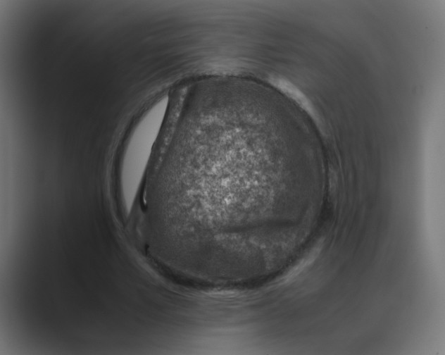 X0000088440581200706191254