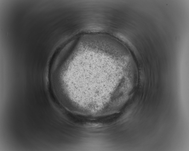 X0000088440582200706191254