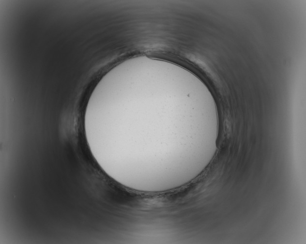 X0000088440583200706191254