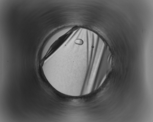 X0000088440584200706191254