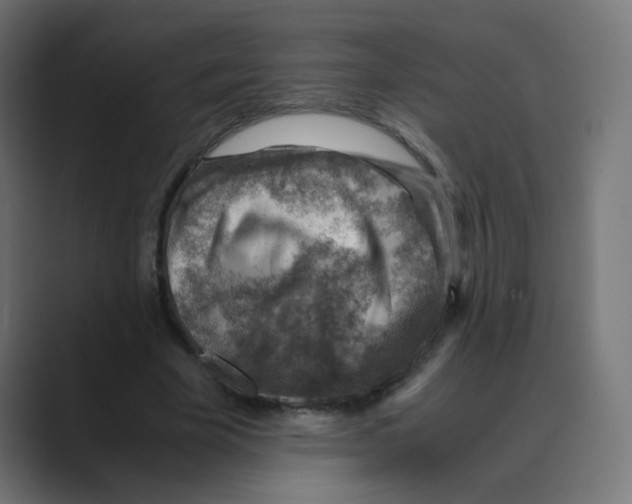 X0000088440585200706191254