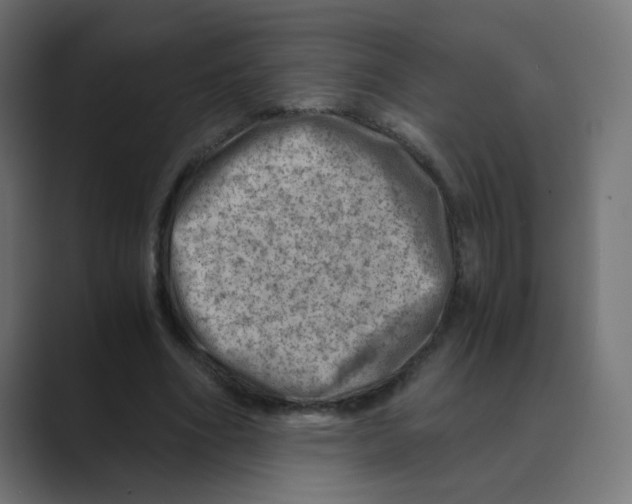 X0000088440586200706191254