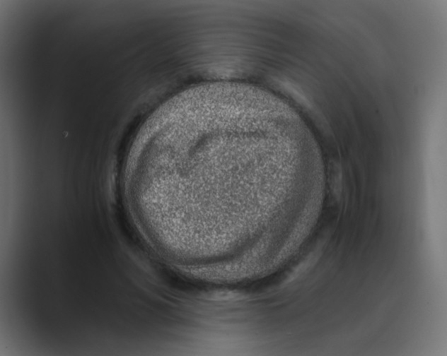 X0000088440590200706191254