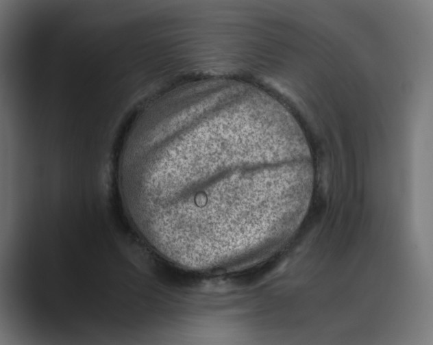 X0000088440591200706191254