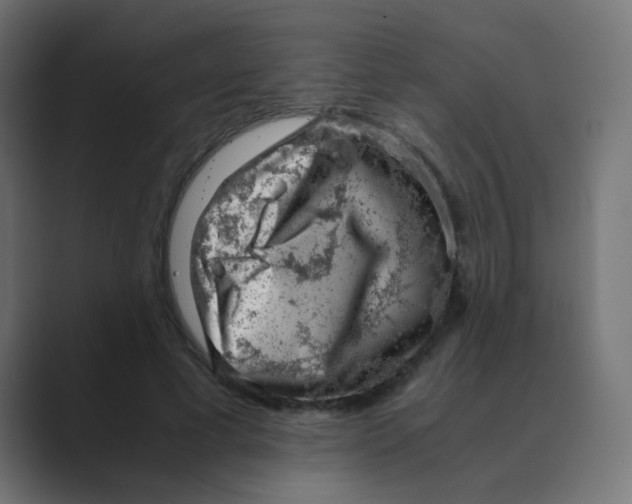 X0000088440593200706191254