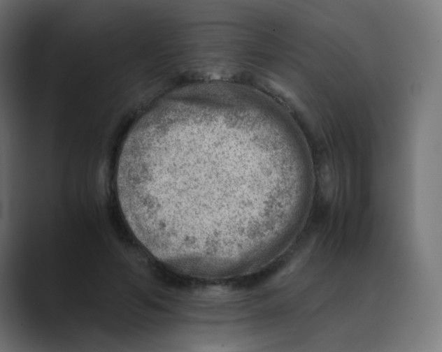 X0000088440594200706191254