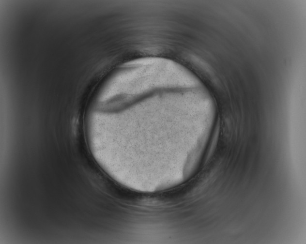 X0000088440596200706191254