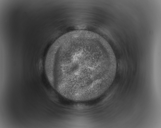 X0000088440598200706191254