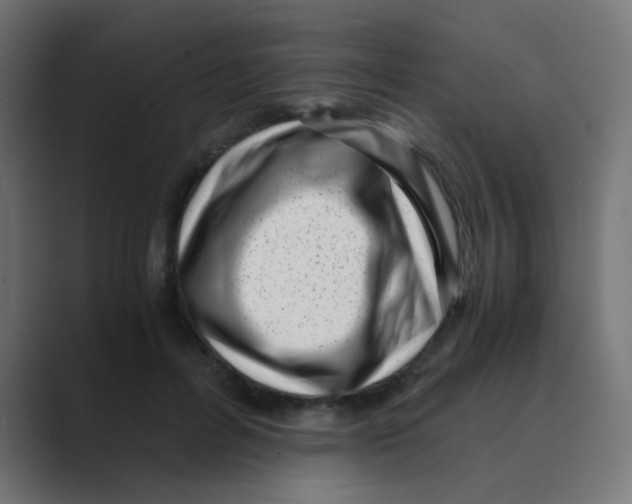 X0000088440600200706191254