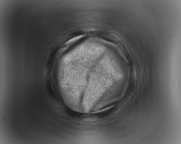 X0000088440601200706191254