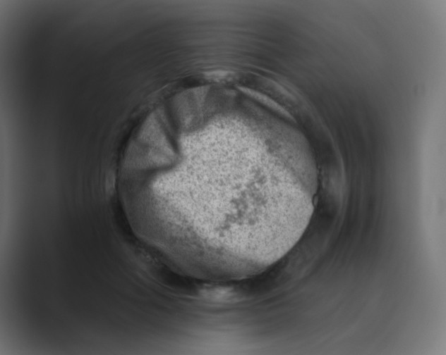 X0000088440602200706191254