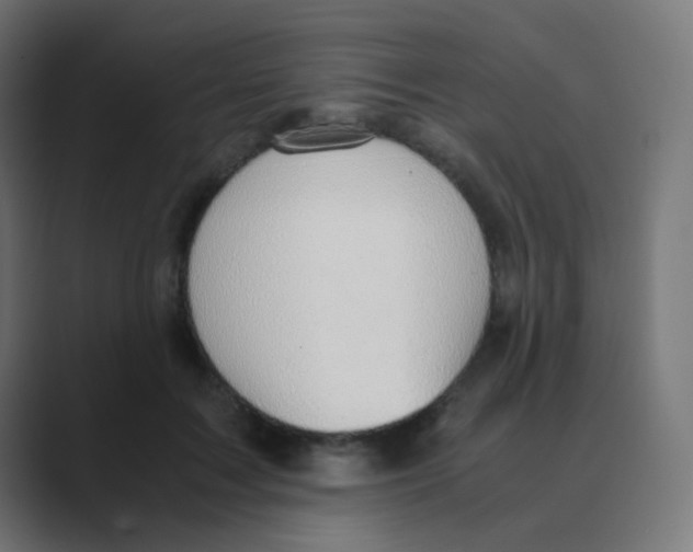 X0000088440603200706191254