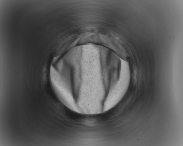 X0000088440604200706191254