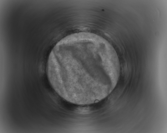 X0000088440606200706191254