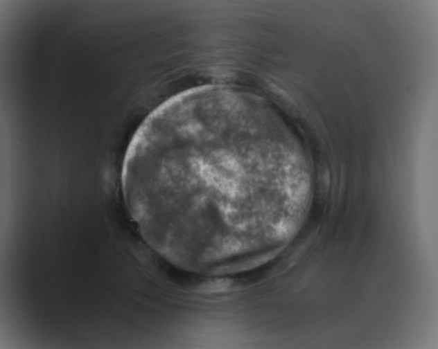 X0000088440609200706191254