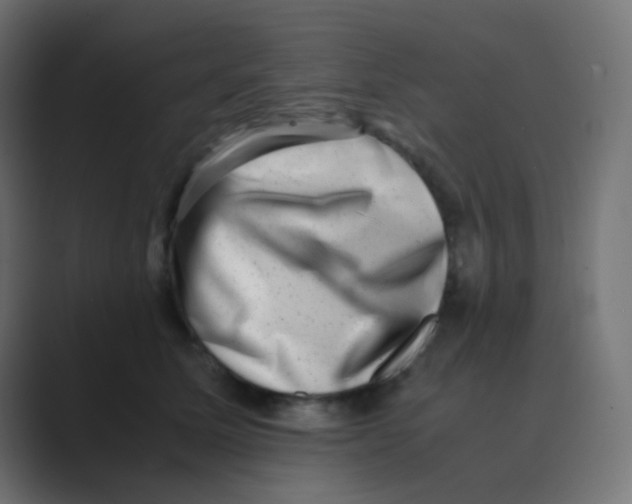 X0000088440611200706191254