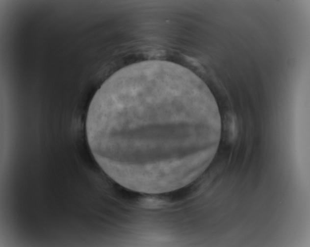 X0000088440614200706191254