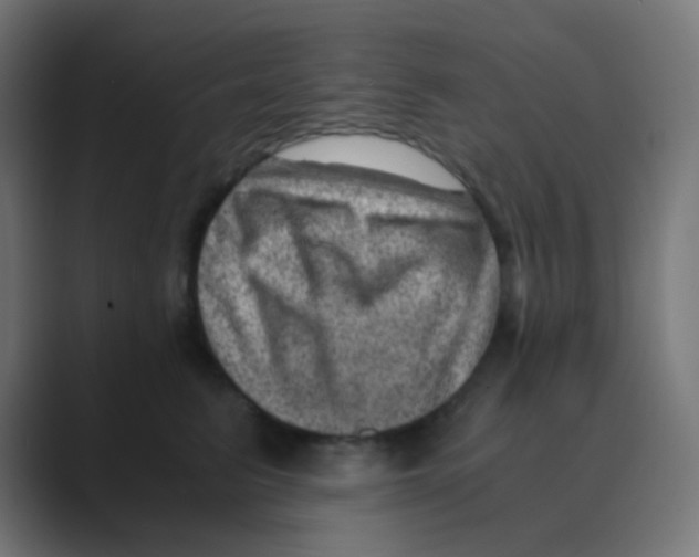 X0000088440615200706191254