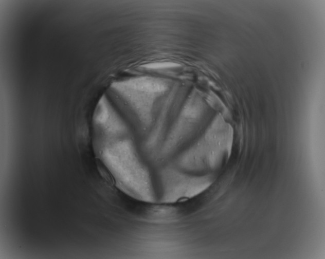 X0000088440617200706191254