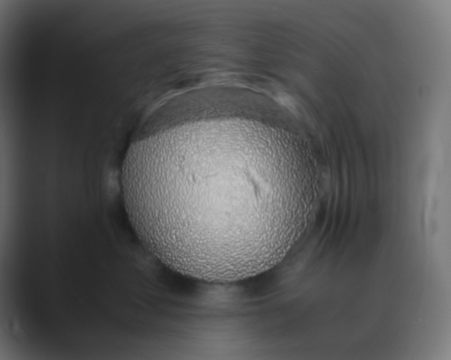 X0000088440621200706191254